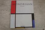 PIET MONDRIAAN  1872-1944 COMPOSITIES OP HET LEGE VLAK, Boeken, Ophalen of Verzenden, Gelezen