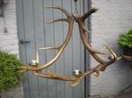 luster lamp met hertengewei, Antiek en Kunst, Ophalen