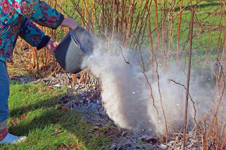 Houtas als bemesting voor de tuin, Tuin en Terras, Plantenvoeding, Gebruikt, Ophalen