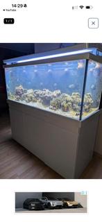 Red sea Aguarıum Perfeck!!!!, Ophalen of Verzenden, Zo goed als nieuw