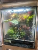 Beplant terrarium, Dieren en Toebehoren, Ophalen, Zo goed als nieuw