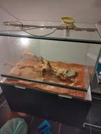 Terrarium. Bovenaan losgekomen maar zeker nog te maken., Dieren en Toebehoren, Ophalen, Gebruikt, Terrarium of Paludarium