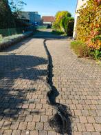 Geknoopt zwart vogelnet van 14 bij 13 meter, Dieren en Toebehoren, Ophalen, Zo goed als nieuw