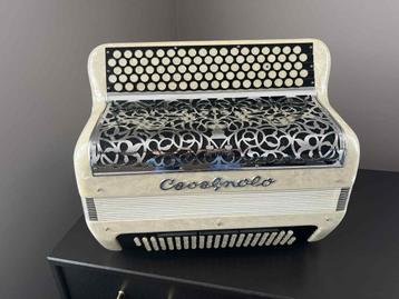 Accordéon Cavagnolo Do3, Musique & Instruments, Accordéons, Avec valise, Enlèvement, Utilisé, 120 basses