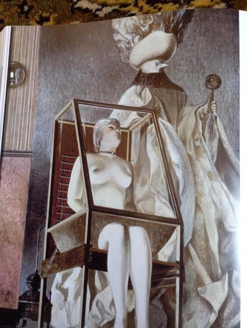 557) Pieter-Willy De Muylder, Boeken, Kunst en Cultuur | Beeldend, Zo goed als nieuw, Schilder- en Tekenkunst, Ophalen of Verzenden