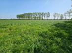 Gras op stam gezocht voor te maaien of beweiden, Ophalen of Verzenden