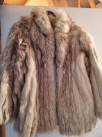 Veste femme hiver, Ophalen of Verzenden, Zo goed als nieuw, Maat 38/40 (M), Beige