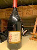 ZELDZAAM 1999 Beaujolais Nouveau - 1 Imperial fles (6 L), Ophalen of Verzenden