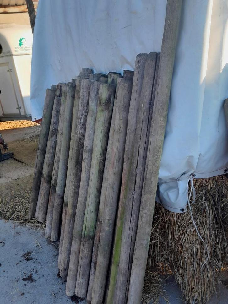 80tal groen gedrenkte palen te koop wegens teveel, Tuin en Terras, Palen, Balken en Planken, Zo goed als nieuw, Palen, Ophalen