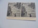 leuven -kroning van miraculeuse standbeeld  1907, Verzamelen, Ophalen of Verzenden, Voor 1920, Ongelopen, Vlaams-Brabant