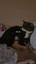 Hulp aangeboden, Vacatures