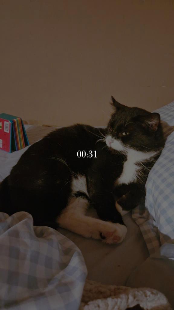 Hulp aangeboden, Vacatures, Profielen | Man/Vrouw zoekt werk