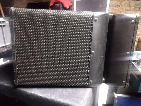 Audiophony curve 12 Line Array, Audio, Tv en Foto, Luidsprekerboxen, Gebruikt, Ophalen