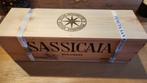 Sassicaia 2019 Magnum, Collections, Vins, Comme neuf, Pleine, Italie, Enlèvement ou Envoi