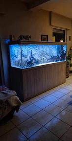 Aquarium aqualantis 2meter, Dieren en Toebehoren, Vissen | Aquaria en Toebehoren, Ophalen, Zo goed als nieuw