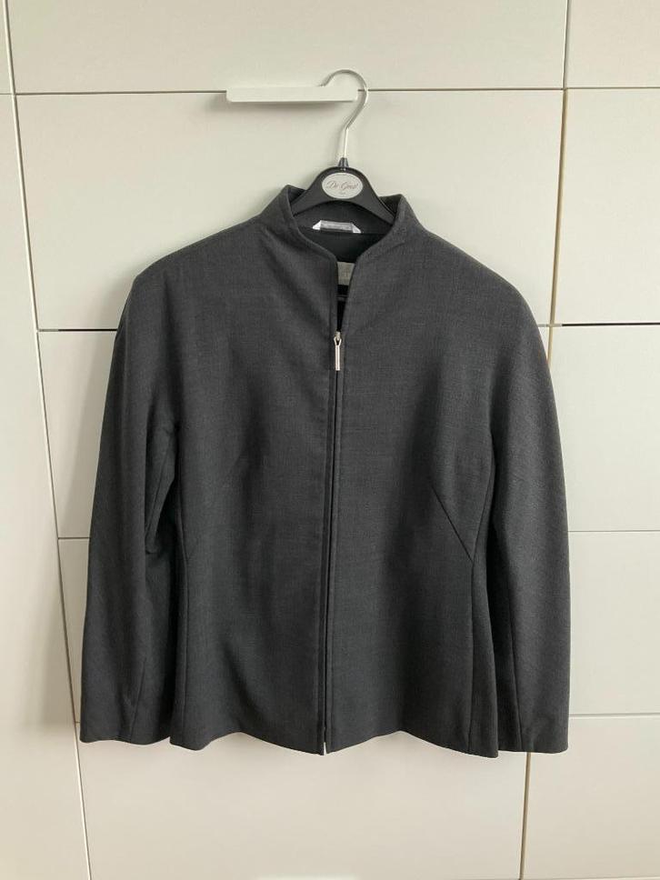 Veste grise coupe cintrée MAX MARA, Kleding | Dames, Jassen | Winter, Gedragen, Maat 36 (S), Grijs, Ophalen