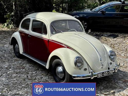 Volkswagen Beetle Oval 1956 | Route 66 auctions, Auto's, Oldtimers, Bedrijf, Te koop, Volkswagen, Benzine, Coupé, 2 deurs, Handgeschakeld