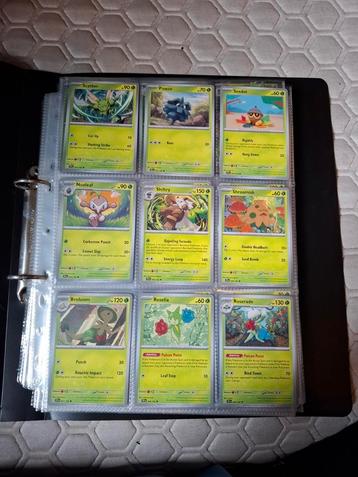 Pokémon temporal forces set 60% compleet beschikbaar voor biedingen