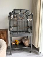 Montana Madeira ( Antiek ) vogelkooi + 2 witte valkparkieten, Dieren en Toebehoren, Ophalen, Zo goed als nieuw, Metaal, Vogelkooi