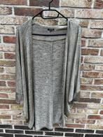 VEST CAROLINE BISS MAAT 38, Maat 38/40 (M), Overige kleuren, Ophalen of Verzenden, Zo goed als nieuw