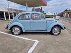 VW Beetle 1300 BWJ 1968, restaurée body off, Bleu, Propulsion arrière, Achat, Coccinelle