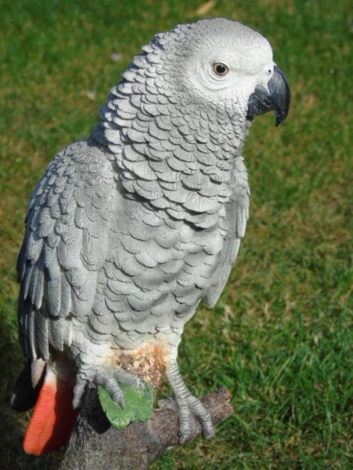 beeld van een grijze papegaai uit Gabon, natuurlijke grootte, Tuin en Terras, Tuinbeelden, Nieuw, Dierenbeeld, Kunststof, Ophalen