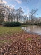 kleinschalige paardenpension (ook weide opfok), Dieren en Toebehoren, Stalling en Weidegang, Weidegang, 4 paarden of pony's of meer