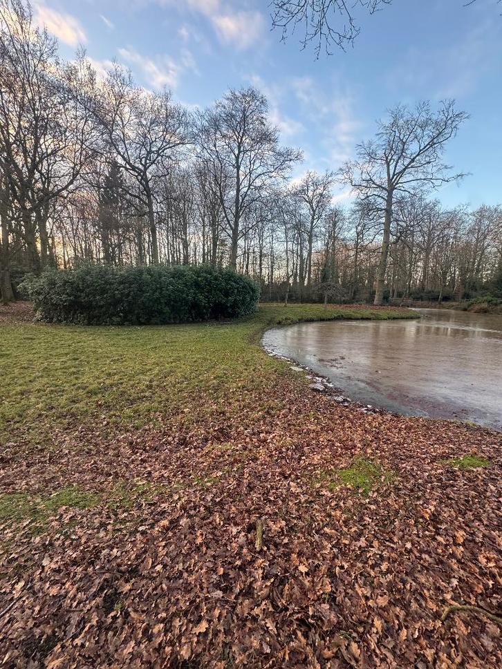 kleinschalige paardenpension (ook weide opfok), Dieren en Toebehoren, Stalling en Weidegang, Weidegang, 4 paarden of pony's of meer