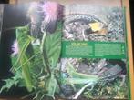 boek: de vier seizoenen/Béatrice Fontanel+Artiscoop 40, Boeken, Natuur, Ophalen of Verzenden, Zo goed als nieuw, Natuur algemeen