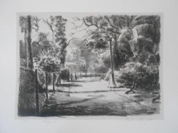 Maerten Stuer Litho Stadspartk. beschikbaar voor biedingen