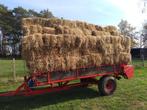 Oude balen stro, Dieren en Toebehoren, Dierenvoeding, Ophalen
