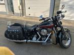 Softail springer, Motoren, Motoren | Harley-Davidson, Particulier