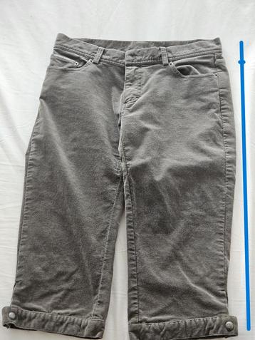 Taupe Kniebroek (driekwart) van Blanc Bleu beschikbaar voor biedingen