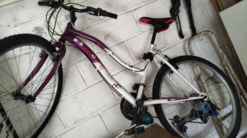  mountainbike voor dames in goede staat beschikbaar voor biedingen
