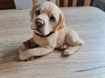 Beeld honden : labrador puppy met botje, Comme neuf, Enlèvement ou Envoi