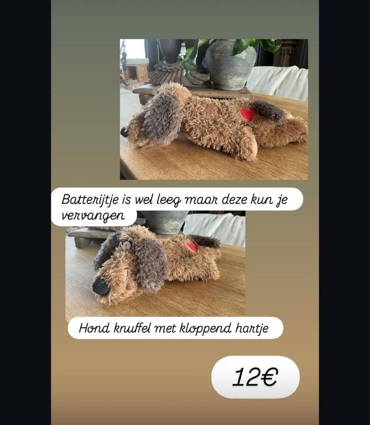 Knuffel voor hond met kloppend hartje 12€, Dieren en Toebehoren, Hondenspeelgoed, Nieuw, Overig speelgoed, Ophalen of Verzenden