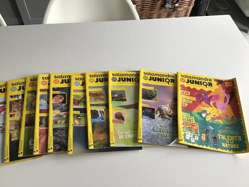 Lot de 11 magasines salamandre Junior, Livres, Journaux & Revues, Utilisé, Science et Nature, Enlèvement ou Envoi