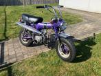 Honda dax 1969, Ophalen, Klasse B (45 km/u), 2 versnellingen, 50 cc