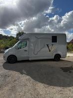 STX Renault Master paardencamionette, Ophalen, Zo goed als nieuw, Aluminium, Overige typen