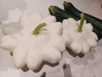 Patisson, Zakelijke goederen, Landbouw | Aardappelen, Groenten, Fruit en Vlees, Ophalen