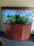 Juwel aquarium, Dieren en Toebehoren, Ophalen, Zo goed als nieuw