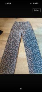 Jbc luipaard broek kids, Ophalen of Verzenden, Broek
