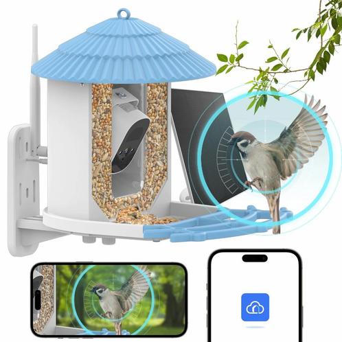 Vogelvoeder Met Camera - Vogels - Vogelkooi, Dieren en Toebehoren, Vogels | Toebehoren