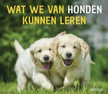 Wat we van honden kunnen leren, Cynthia-L. Copeland beschikbaar voor biedingen