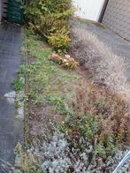 Gratis aarde, Ophalen