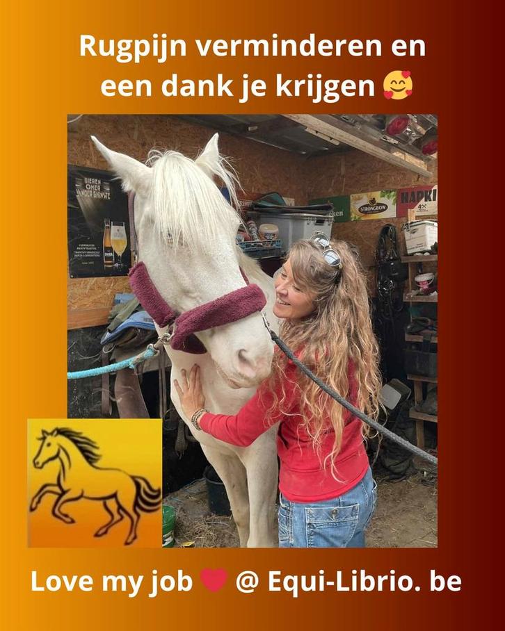 Shiatsu behandelingen, kinesiotaping, voedingsschema's, Dieren en Toebehoren, Paarden