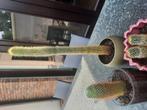 cactussen, Tuin en Terras, Ophalen