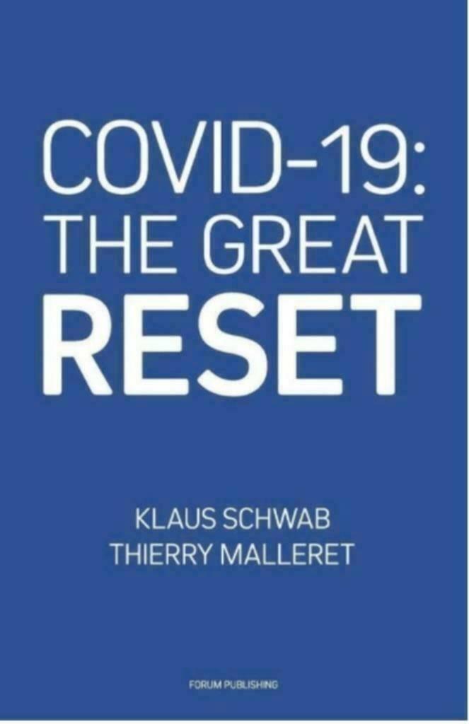 Covid-19: The great reset PDF, Klaus Schwab & Thierry Maller, Boeken, Gezondheid, Dieet en Voeding, Zo goed als nieuw, Ophalen of Verzenden