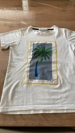 Witte t shirt met palmboom, Ophalen of Verzenden, Zo goed als nieuw