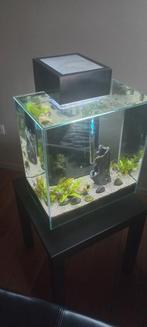 Aquarium Fluval Edge 46 liter, Ophalen, Gebruikt